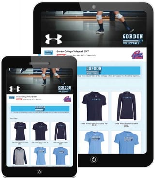 Mobile Friendly Team Stores